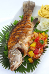 fish