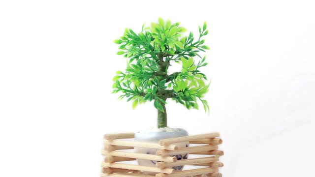 Artificial plant in flowerpot circled by wooden lattice