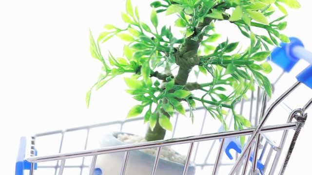 Artificial ornamental plant in flowerpot inside shopping trolley