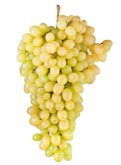 Fresh green grape