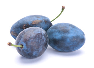 Blue ripe plum