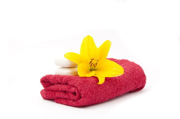 .lily and towel