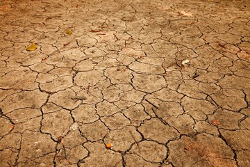Dry soil