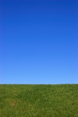 Obraz na płótnie Canvas 緑と青空の背景