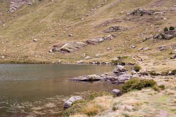 Tristaina
