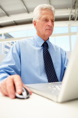 Fototapeta premium Senior businessman using laptop