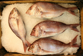 fish market