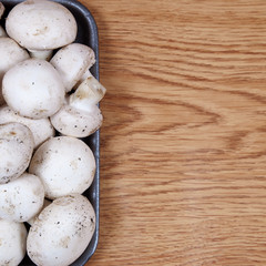 Champignons