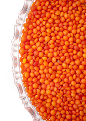 red lentils   in a glass plate isolated on white background