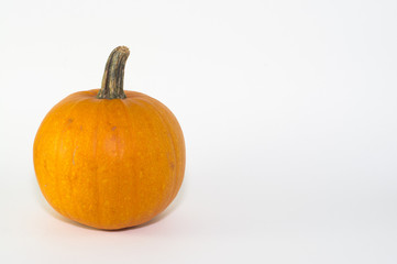 Pumpkin Isolated