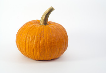 Pumpkin Isolated
