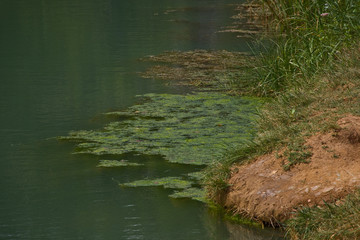 lungo le rive dell'Argens