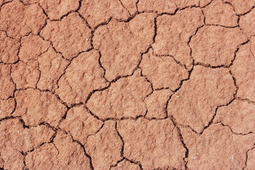 Steppe cracked clay earth in the summer