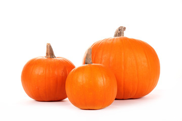 Pumpkins on white background