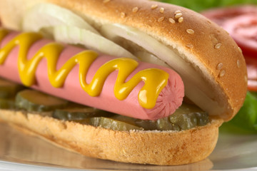 Hotdog with pickles, onion and mustard