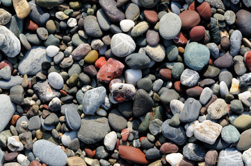rocks on the shore
