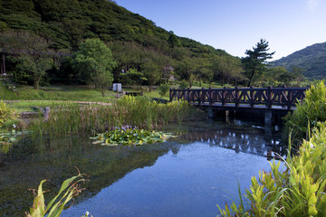 Obraz premium landscape of national park