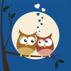 owls in love