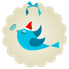 Social bird at Christmas time