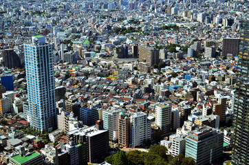 Fototapeta na wymiar Tokyo by day from Shinjuku
