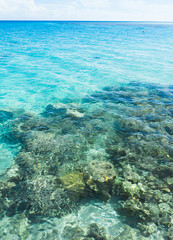 Skies Above And Waters Below