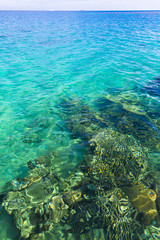 Sea Panorama Divine