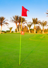 Golf Flag Stirred By The Wind