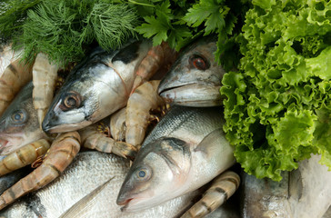 Seafood with greens background