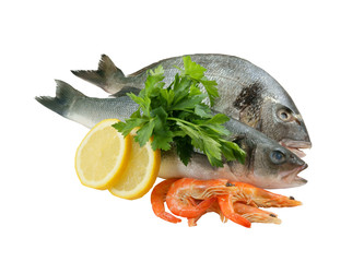Dorado, seabass and shrimp isolated on white