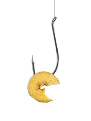 Fototapeta premium Fishing Hook