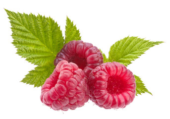 Red raspberry
