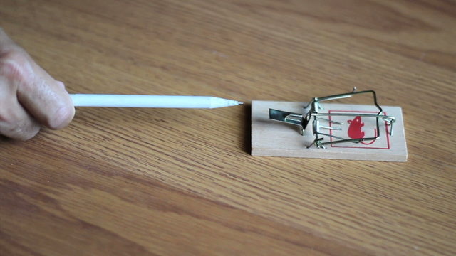 Man Testing An Empty Mouse Trap