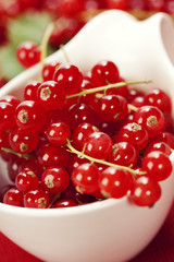ripe red currant berries