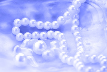 Macro of pearls and necklace  in an oyster shell. Blue tinted