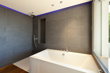Fototapeta na wymiar Modern apartment,.bath and shower