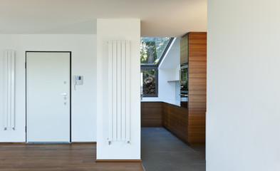 Modern apartment,.entrance door and kitchen view
