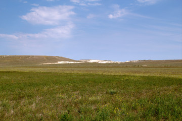 Steppe in the summer in the Crimea