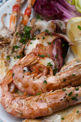 Italian Food, selection of grilled fish, shrimps and others