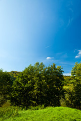 Fototapeta premium Wonderful Days