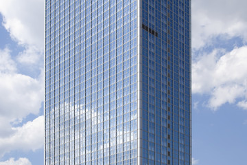 Fototapeta na wymiar Skyscraper Alliance