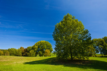 Fototapeta premium Wonderful Days