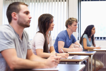 Studious young adults listening a lecturer