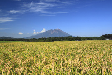 岩手山と田園風景