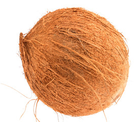 A coconut on a plain white background.