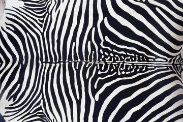Fototapeta na wymiar Zebra skóry tekstury skóry malowane