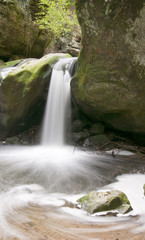 Wo der Wildbach rauscht