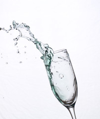 Splashing fresh shampagne