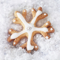 Iced Christmas Biscuit