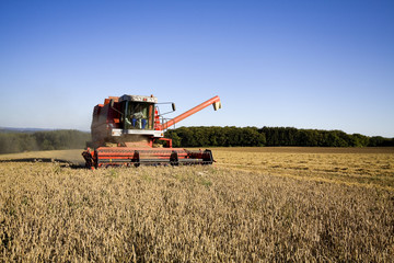 Obraz premium Mähdrecher Ernte