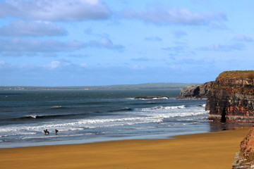Fototapeta premium horses having a dip in the sea